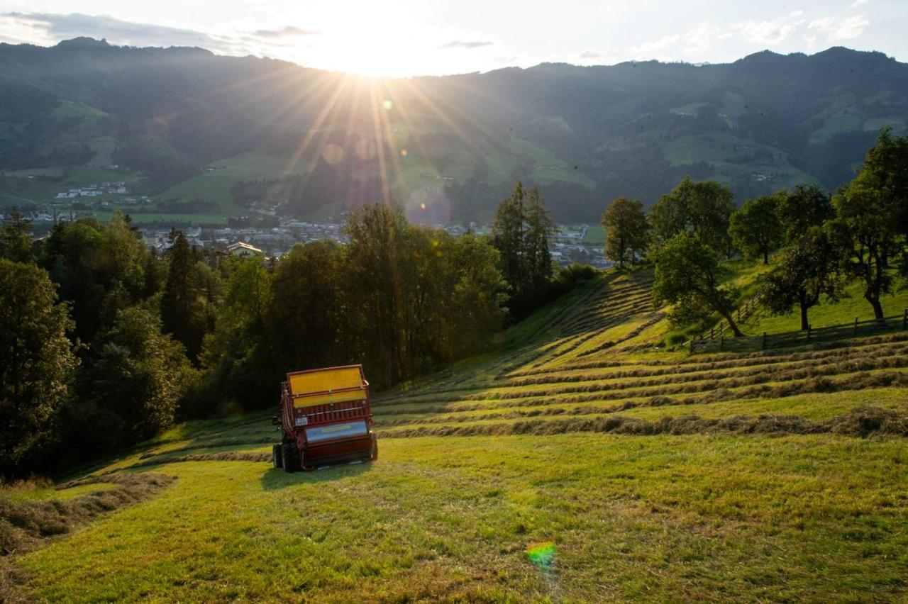 Appartements Lehenhof Sankt Johann im Pongau Luaran gambar