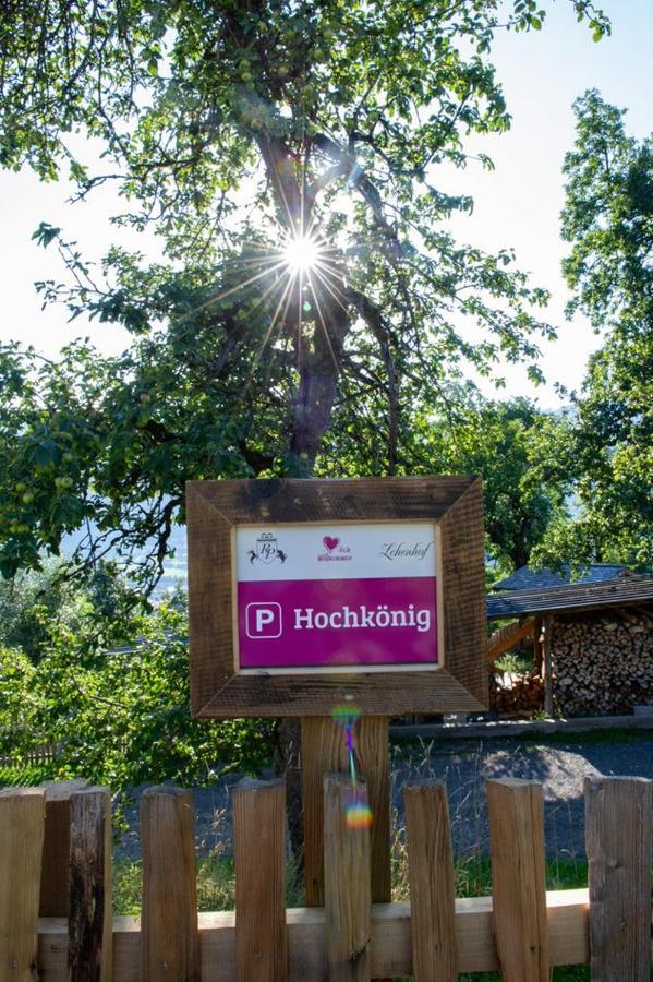 Appartements Lehenhof Sankt Johann im Pongau Luaran gambar