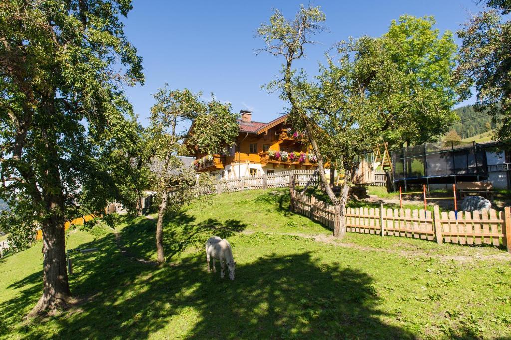 Appartements Lehenhof Sankt Johann im Pongau Luaran gambar