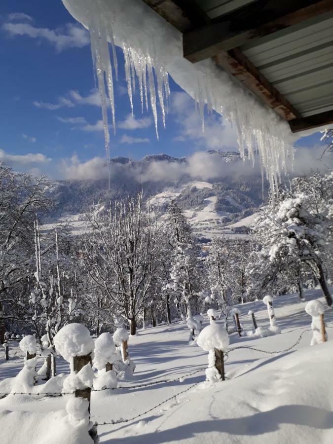 Appartements Lehenhof Sankt Johann im Pongau Luaran gambar